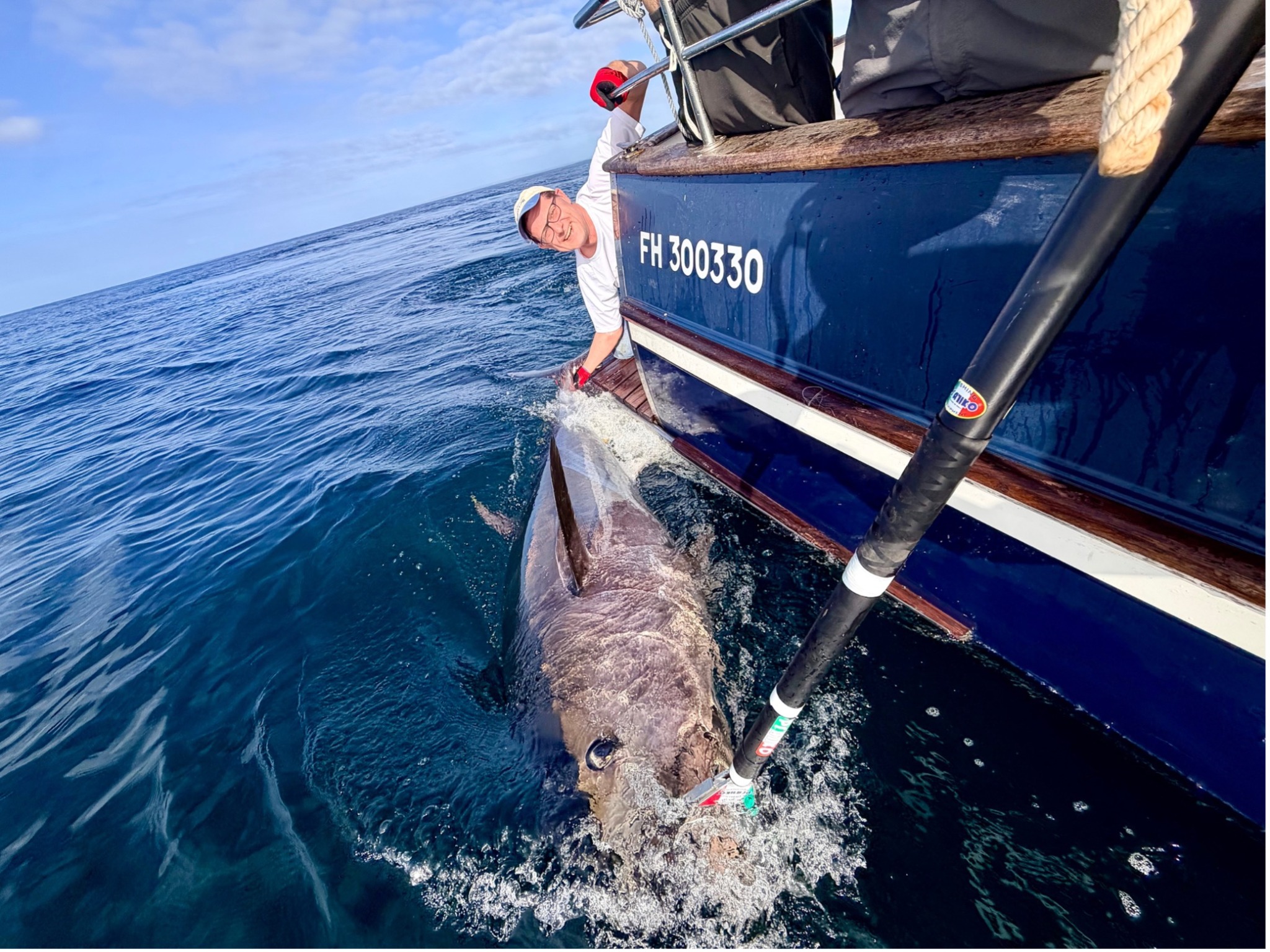 A large Atlantic bluefin tuna alongside Shamrock